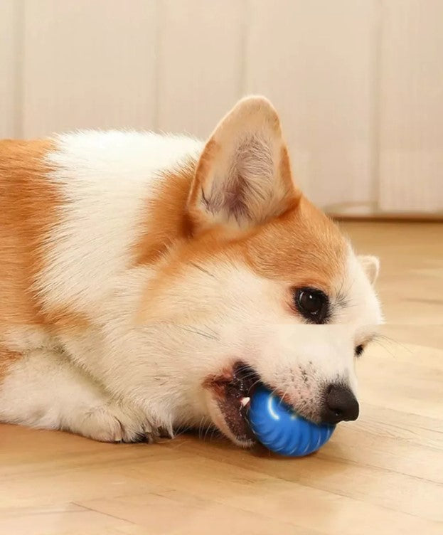 Pelota SaltarinaTM