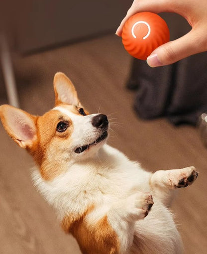 Pelota SaltarinaTM