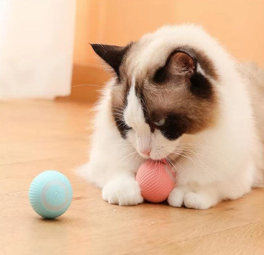 Pelota SaltarinaTM