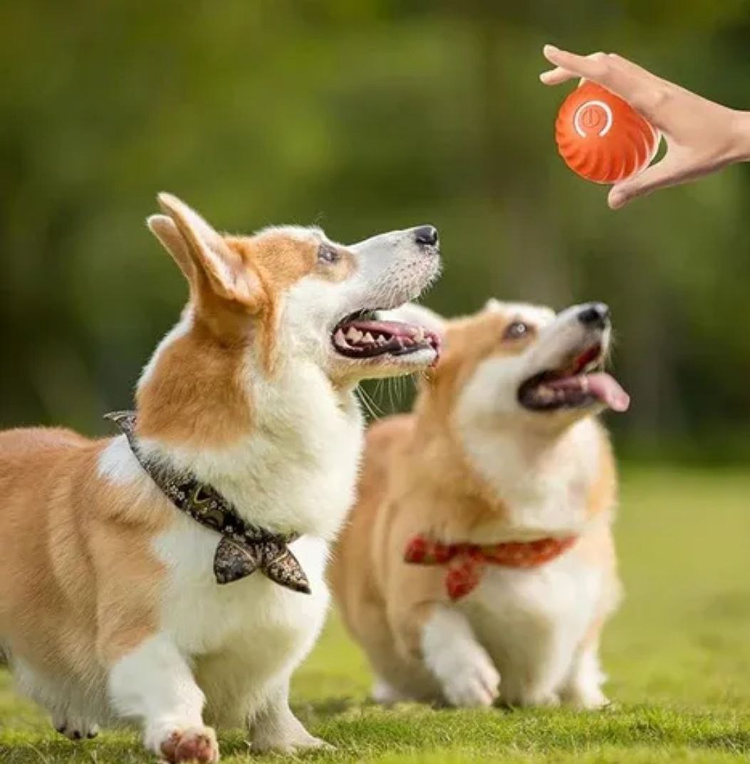 Pelota SaltarinaTM